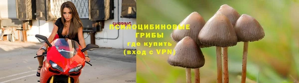 MDMA Новодвинск