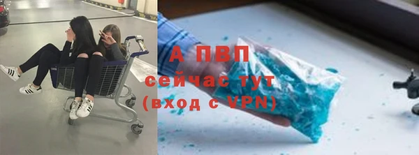 каннабис Богданович