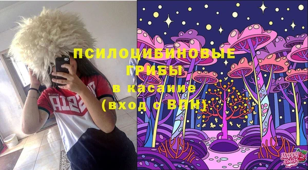 MDMA Новодвинск
