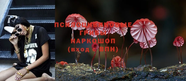 марки nbome Нязепетровск
