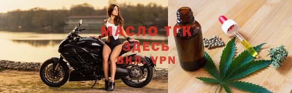 PSILOCYBIN Няндома