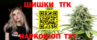 МДПВ Гусев