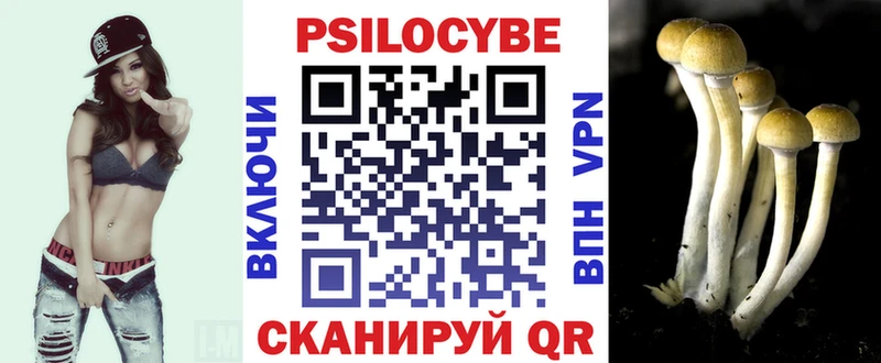 купить наркоту  omg рабочий сайт  Галлюциногенные грибы Psilocybe  Чусовой 